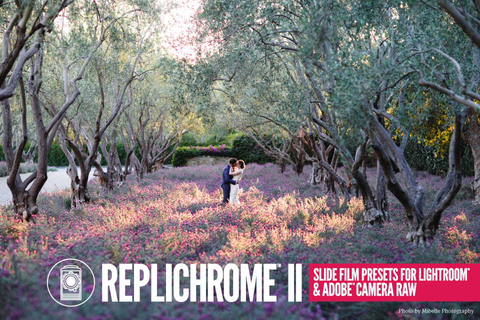 Replichrome II Graphic