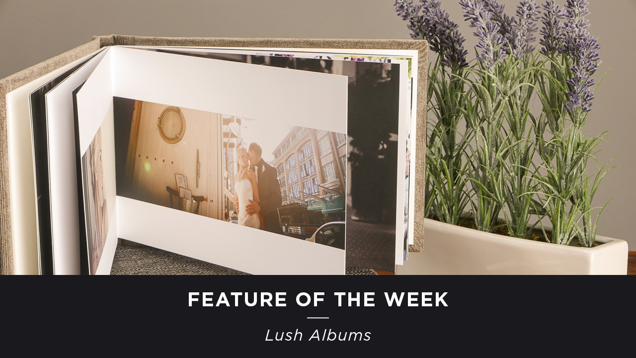 Lush Albums FOTW V