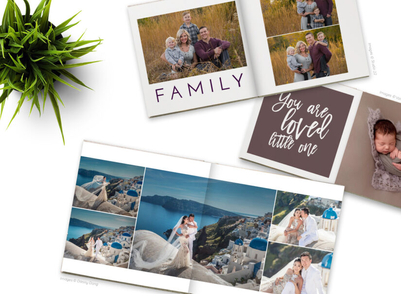 Products We Love, Fundy Blog Collage