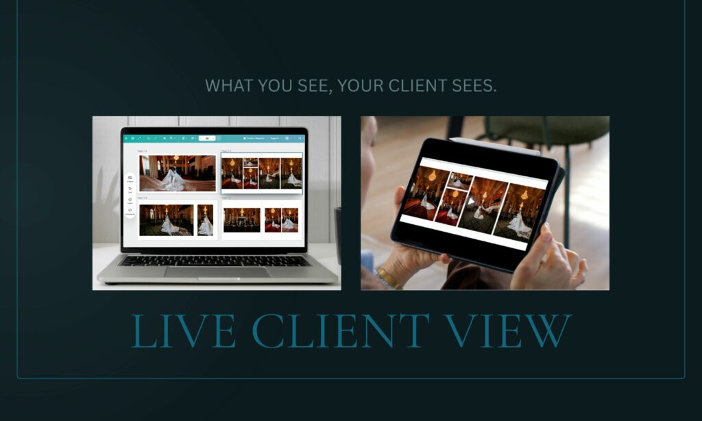 Fundy Cloud Live Client View